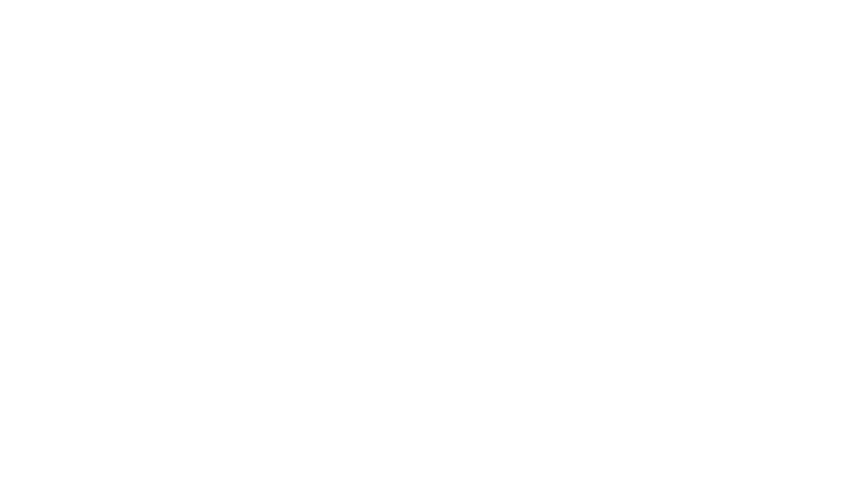 Nr. 10